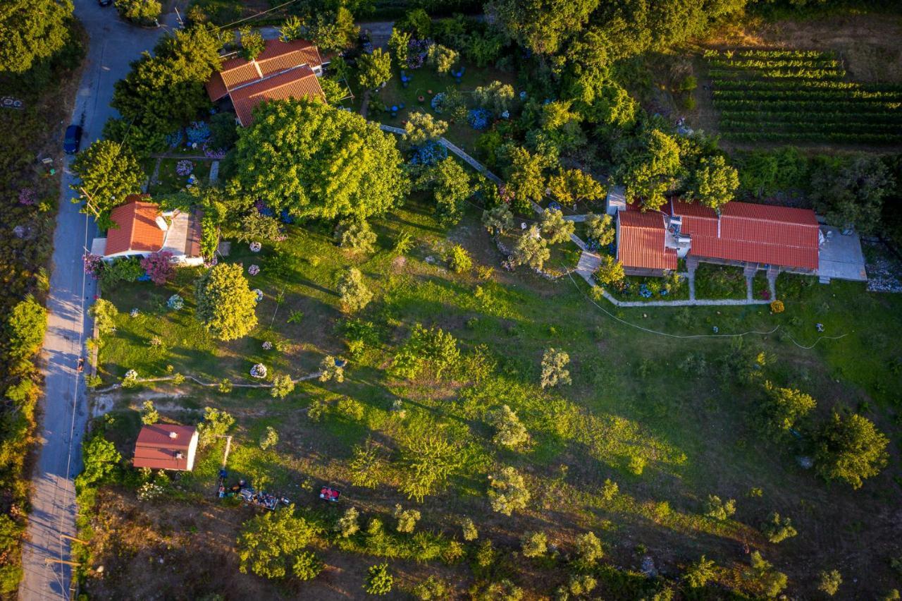 Alekas Studios Θέρμα Εξωτερικό φωτογραφία