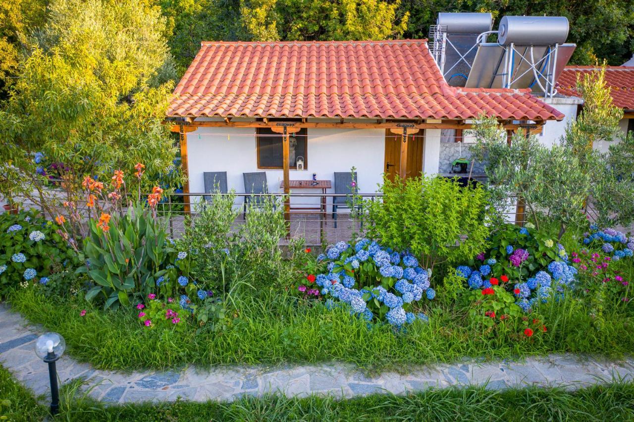 Alekas Studios Θέρμα Εξωτερικό φωτογραφία
