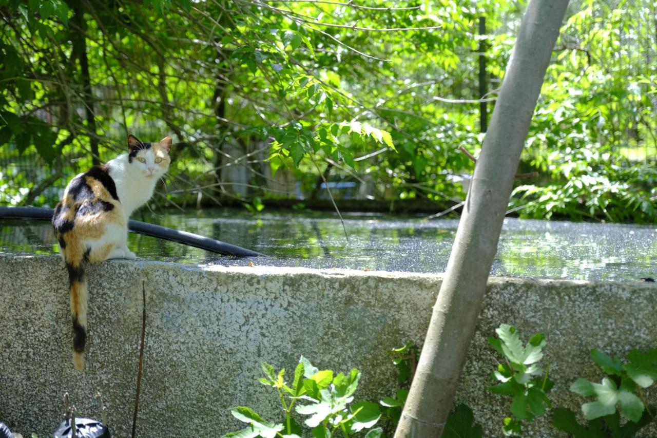 Alekas Studios Θέρμα Εξωτερικό φωτογραφία
