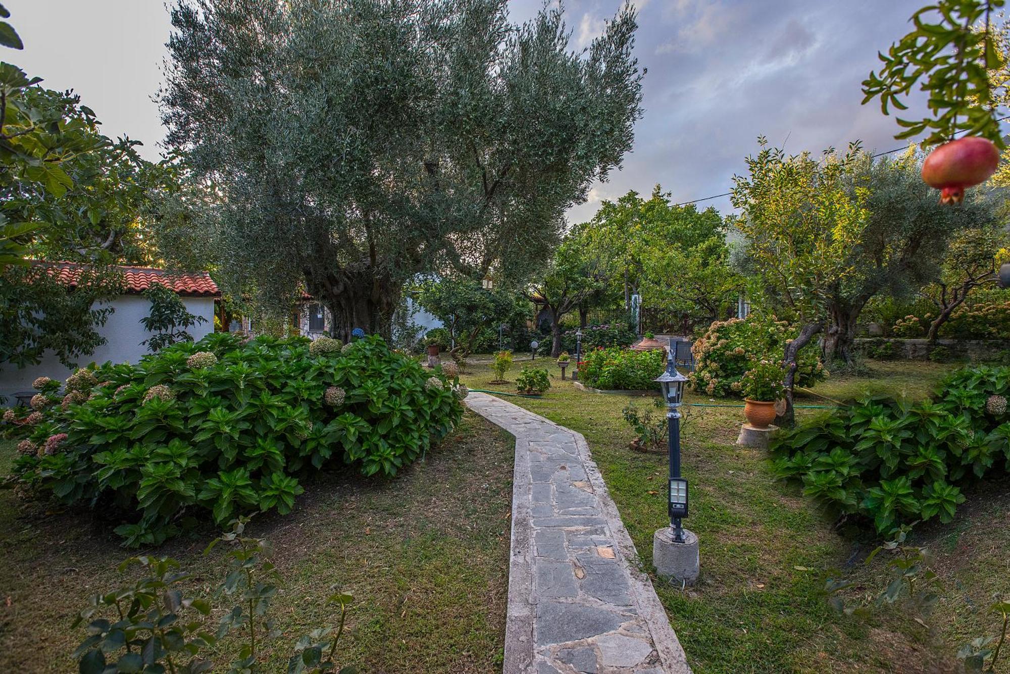 Alekas Studios Θέρμα Εξωτερικό φωτογραφία
